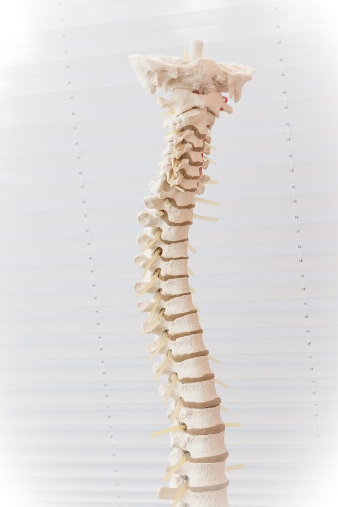 spine, disc, the back, disc prolapse, disease, medicine, bone, heal, clinic, whirl, doctor, back pain, pension, spine, spine, spine, spine, spine, back pain