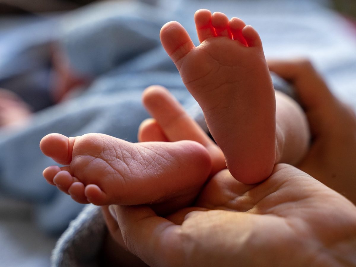 baby, newborn, baby feet, feet, small, barefoot, sweet, baby photography, children's feet, close up, infant, child, family, baby, baby, baby, baby feet, feet, family, family, family, family, family